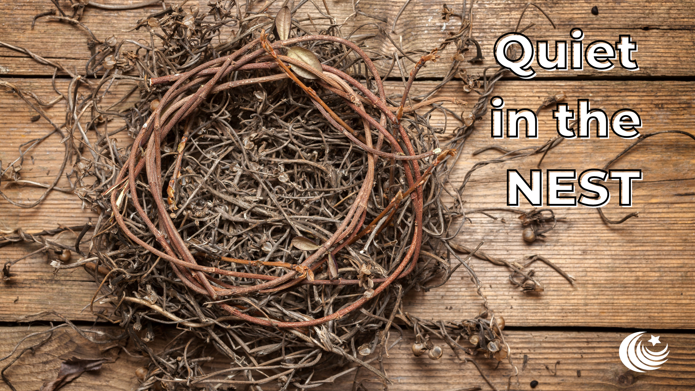 Quiet in the Nest Blog Title Image