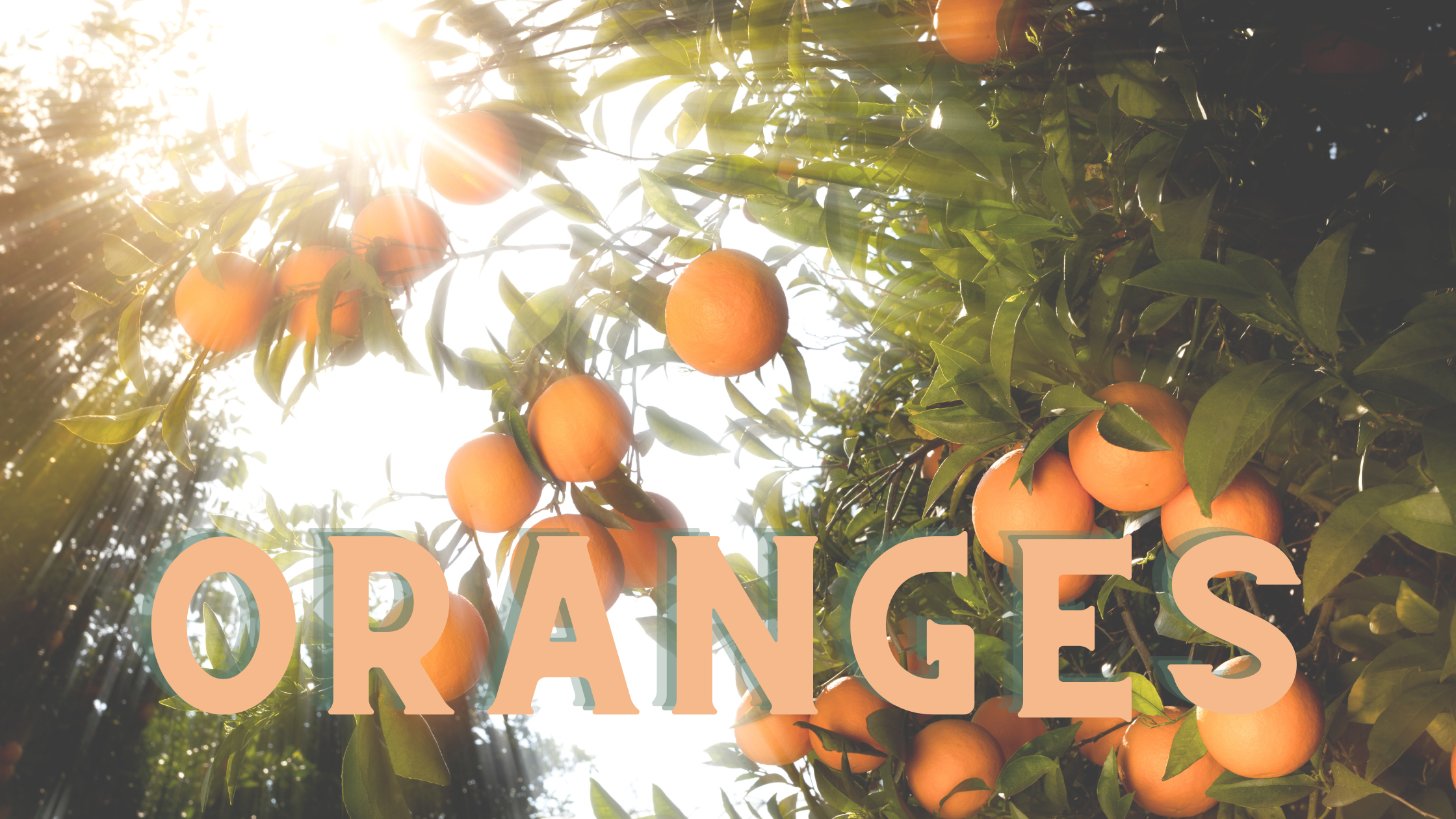 Feature image for "ORANGES" blog post